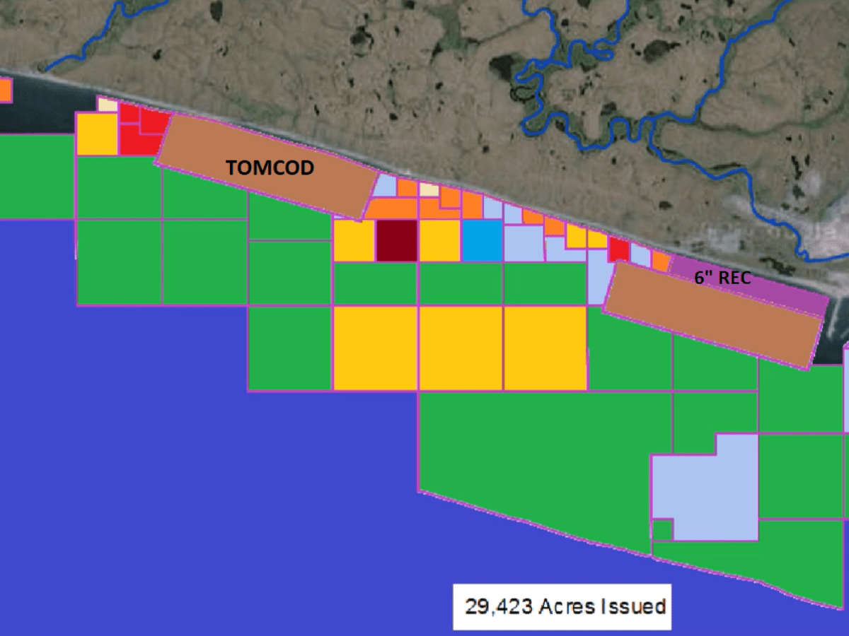 Gold Leases Claims in Nome