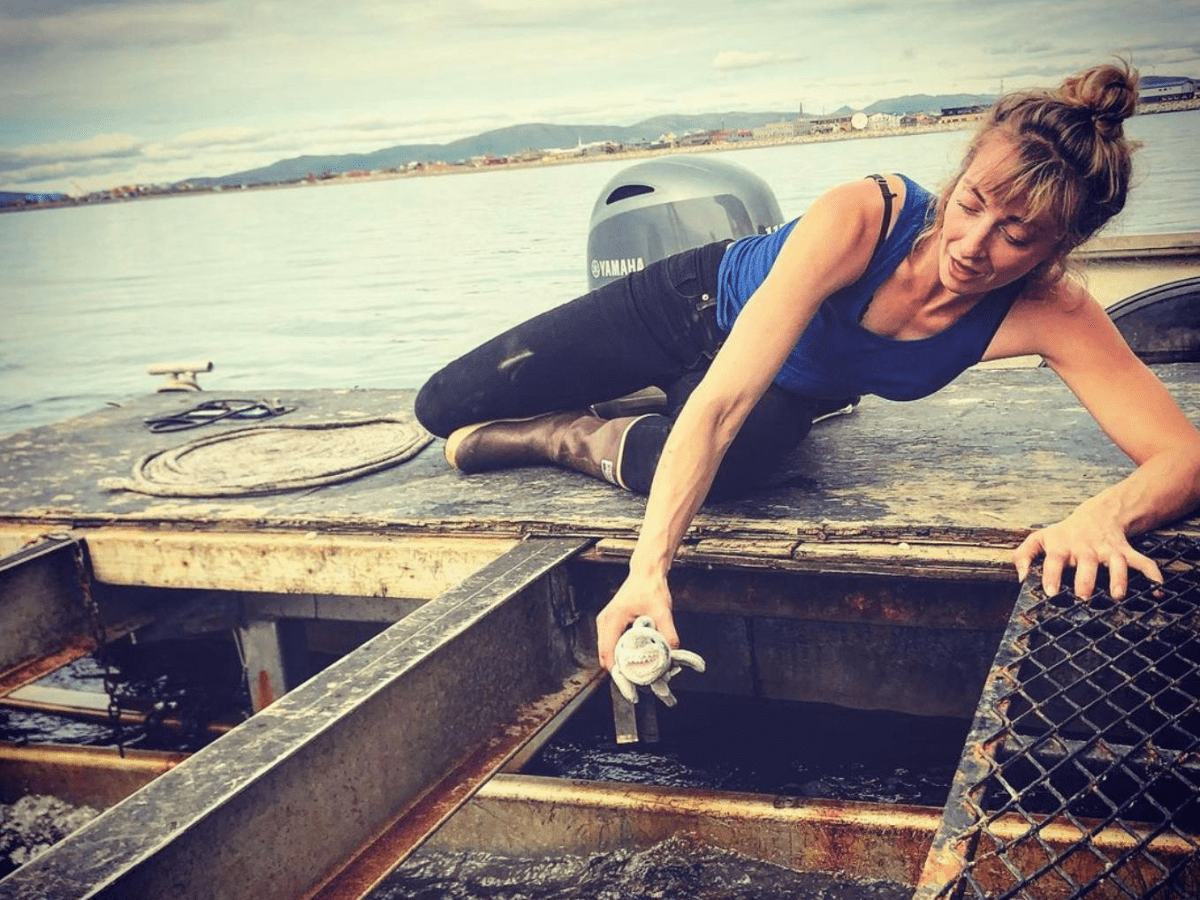 Sluice Box cleanup