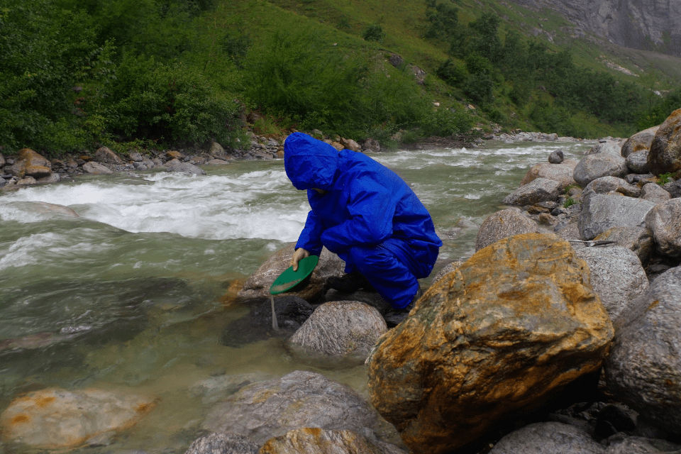finding gold in nature