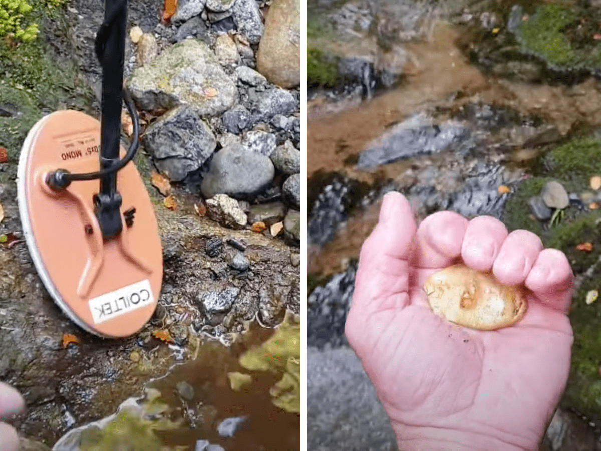 New Zealanders Metal Detect Monster 3.98 ozt Gold Nugget