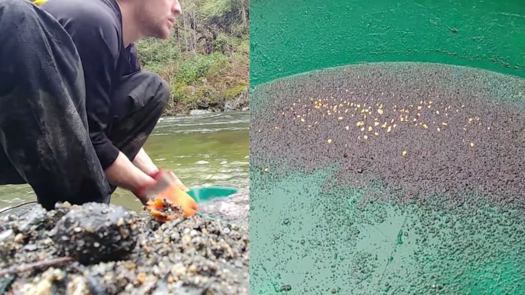 Gold Panning Vancouver Island Victoria Sooke River