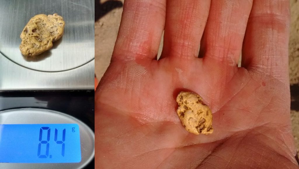 8.4 gram gold nugget Metal Detecting California Minelab