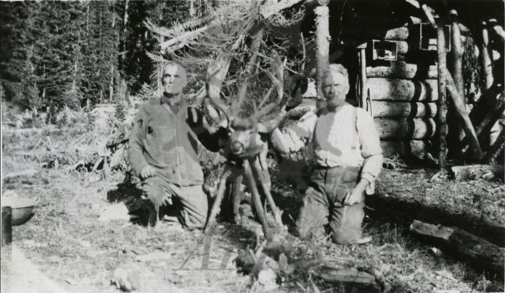 Volcanic-Browns-cabin